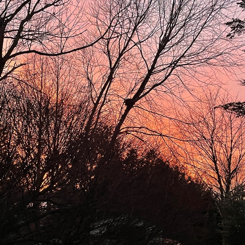 Meet your Posher, Meredith